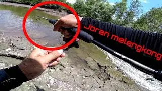 CASTING BARRAMUNDI VS MANGROVE JACK