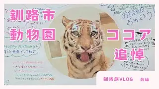【Vlog】釧路市動物園アムールトラのココア【釧路旅前編】