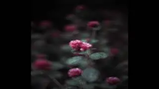 ✰free// myspace // indie rock x alternative indie rock type beat 2021
