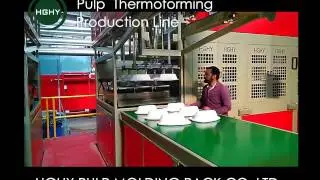 HGHY Pulp Thermoforming Production Line-Pulp tableware machine, pulp inner packaging machine