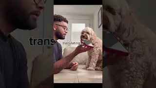 User tested out dog translator actually works! Try Traini for FREE!