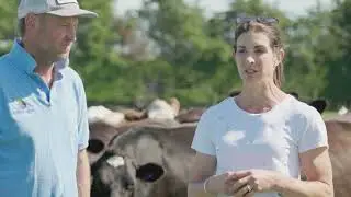 Subsurface irrigation benefits clear despite wet season