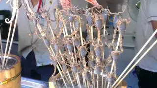 tasty bugs