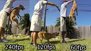 Slow motion  60fps vs 120fps vs 240fps