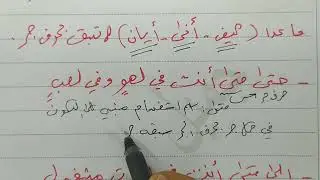 الاستفهام السادس الإعدادي دفعة 2025 محاضرة 13