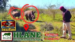 Hlane Royal National Park in Swaziland | Hlane Park | Royal National Park | Swaziland National Park