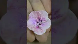 🌸 DIY Fondant Flower for Your Cake 🌸