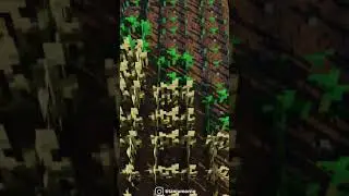 Minecraft Wheat