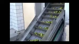pear processing plant
