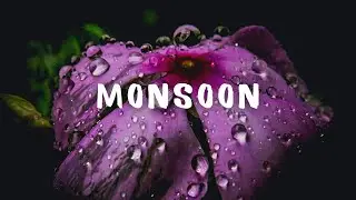 Monsoon Bliss | Monsoon music | Amazing Monsoon Relaxing and Calm Video
