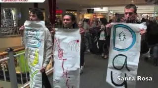 This Week In Occupy: Nov 20th - 27th