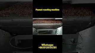Peanut roasting machine | chain baking machine#peanut #peanutroastingmachine #baking #baker