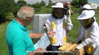 IMYB 2016 in Russian
