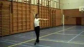 basic wushu cha quan technique performed by nelson