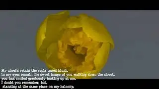 Moments of Momentum | Nandita Samanta | Poem
