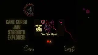 🐾 The Science Behind A Cane Corso's Powerful Bite! 💪 #CorsoBiteForce