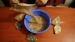 #Bird #Feed নিজেই তৈরি করুন পাখির সেরা খাবার