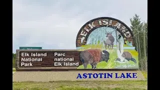 Elk Island National Park l Jane Rayos