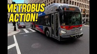 Epic WMATA MetroBus Action! New Flyer Buses Roaring Through Washington DC | Volume 1