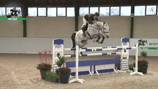 VDL Nikita - WEF Sport Horse Auction 2020