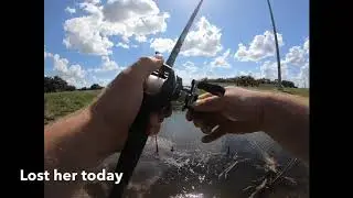 Roadside Redemption bass