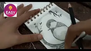 #pencildrawing #pencilsketch #3ddrawing #drawingbird