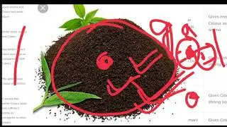 [Part-1]What is Tea Grade ? Tea Grade BOPL to BOP explained . Tea wholesale business by Pankaj roy