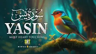 Surah Yaseen with English Subtitles Translation | سورة يس | Soothing & Beautiful Recitation | EP.128