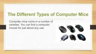 Computer Mouse Basics