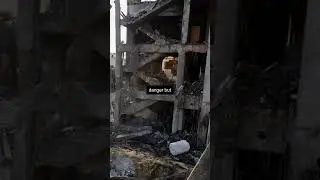 shortGaza: BBC reporter and family left homeless again after Israel air strike warning