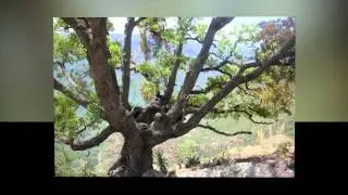 VIAJE AL NIDO DEL AGUILA
