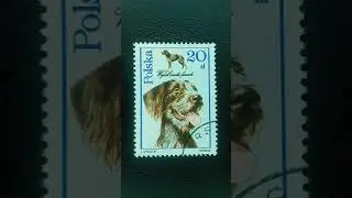 Dog Stamps from Poland