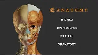 Z-Anatomy: The Blend-Tutorial