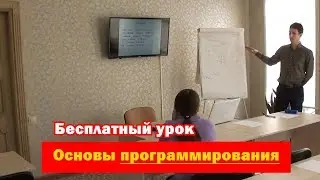Основы программирования, бесплатный урок. Школа программирования, Школа Бизнес Точка, BTO.bz