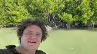 Mangrove forest Everglades National Park tropical wetlands basin ecosystem flora fauna Florida 20