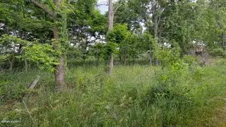 15925 Verona Road, Marshall, MI Presented by Mary Crosby.