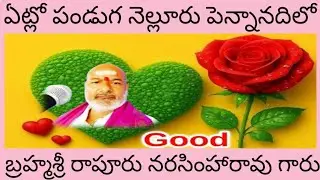 నెల్లూరు పెన్నానదిలో ఏట్లో పండుగ అద్భుతం🙏🌹 బ్రహ్మశ్రీ రాపూరు నరసింహారావు గారు🙏🌹🙏@RNRbhakti-y7w