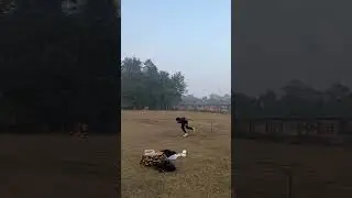 Bowling to out subscribe and like and share #bowling #cricket #india #viral #viralvideo