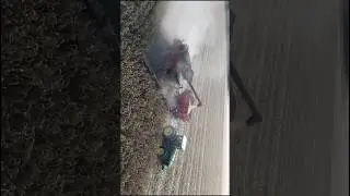 Corn harvest continues.#viralvideo #familybusiness #foryourpage #farming #familyfarms #drone