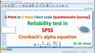 5 Point or 2 Point Likert scale Questionnaire survey Reliability test in SPSS Cronbach's alpha
