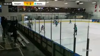 Rangers vs Sharks Feb 22nd -2nd period