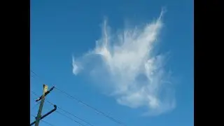 tickling the dragon's tail