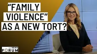 Should family violence be it's own new tort? A debate!