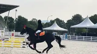 MAFEC 2025, Day 1, 40-60cm, 1st placing