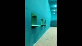 Dubai Falcons Farm