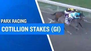 2025 $1,000,000 Cotillion Stakes (G1) at Parx Racing