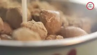 Learn More About Boss Dog Freeze Dried Raw Diet- Chicken, Beef, Fish & Lamb Protein Offerings