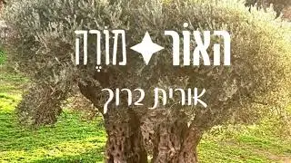 האור: מורה / אורית ברוך