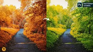 Photoshop Selective Color: Turn Summer Into Winter (2024)