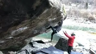 Fake Pamplemousse (Fb8A), Brione